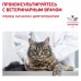 Royal Canin (вет.корма) для кошек при пищевой аллергии, с уткой