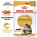 Royal Canin паучи кусочки в соусе для Мейн-куна старше 15 месяцев