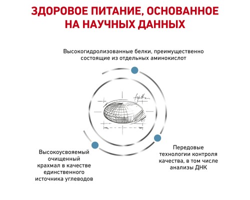 Royal Canin (вет.корма) для собак при пищевой аллергии с острой непереносимостью 8 кг