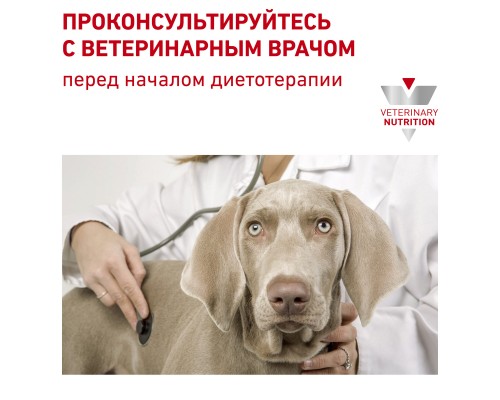 Royal Canin (вет.корма) для собак при пищевой аллергии с острой непереносимостью 3 кг