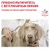 Royal Canin (вет.корма) для собак при пищевой аллергии с острой непереносимостью 3 кг