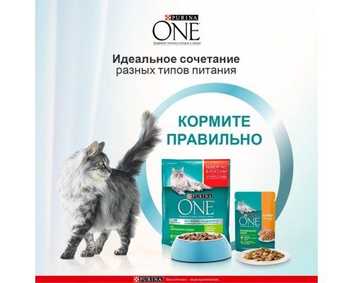 Purina One паучи с курицей и морковью для домашних кошек