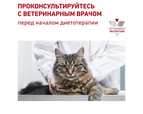 Royal Canin (вет.корма) для взрослых кошек при ранней стадии почечной недостаточности