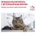 Royal Canin (вет.корма) для взрослых кошек при ранней стадии почечной недостаточности