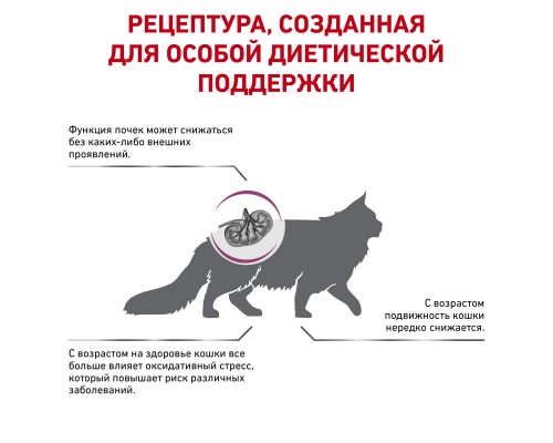 Royal Canin (вет.корма) для взрослых кошек при ранней стадии почечной недостаточности