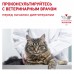 Royal Canin (вет.корма) для кошек "Лечение ЖКТ"