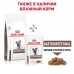 Royal Canin (вет.корма) для кошек "Лечение ЖКТ"