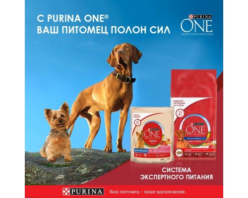 Корм Purina One сухой корм Purina ONE® МИНИ Активная для собак мелких пород, с высоким содержанием курицы и с рисом 1,5 кг