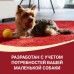 Корм Purina One сухой корм Purina ONE® МИНИ Активная для собак мелких пород, с высоким содержанием курицы и с рисом 1,5 кг