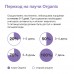 ORGANIX паучи набор паучей 5+1 для стерилизованных кошек: курица в желе