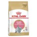 Корм Royal Canin для британских короткошерстных котят 4-12 мес. 10 кг