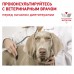 Royal Canin (вет. паучи) консервы для собак при сердечной недостаточности 410 г