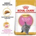 Корм Royal Canin для британских короткошерстных котят 4-12 мес. 10 кг