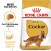 Корм Royal Canin для взрослого кокер-спаниеля с 12 месяцев 3 кг