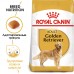 Корм Royal Canin для взрослого голден ретривера с 15 месяцев 12 кг