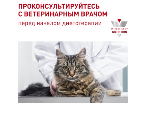 Royal Canin (вет.корма) для кастрированных котов и кошек, с пониженной калорийностью для профилактики МКБ