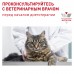 Royal Canin (вет.корма) для кастрированных котов и кошек, с пониженной калорийностью для профилактики МКБ