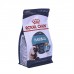 Корм Royal Canin для кошек от 1 года "Вывод шерсти" 2 кг