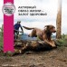 Корм Eukanuba для взрослых собак крупных пород с чувствительным пищеварением, с ягненком и рисом 2,5 кг