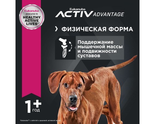 Корм Eukanuba для взрослых собак крупных пород с чувствительным пищеварением, с ягненком и рисом 2,5 кг