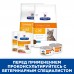 Hill's вет.консервы  Prescription Diet c/d Multicare Urinary Care, влажный диетический корм для кошек при профилактике мочекаменной болезни (МКБ), с курицей, Как проявляются заболевания нижних мочевыводящих путей