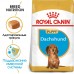 Корм Royal Canin для щенков таксы до 10 месяцев 1,5 кг