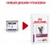 Royal Canin (вет. паучи) паштет для кошек при хронической почечной недостаточности