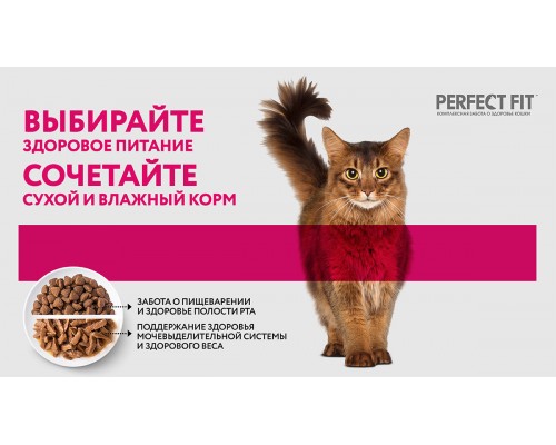 Perfect Fit влажный полнорационный корм, для взрослых кошек с чувствительным пищеварением, с лососем в соусе