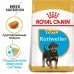 Корм Royal Canin для щенков ротвейлера от 2 до 18 месяцев 12 кг