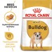 Корм Royal Canin для взрослого английского бульдога с 12 месяцев 3 кг