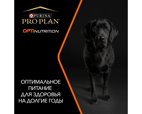 Корм Purina Pro Plan для взрослых собак крупных пород с мощным телосложением, с высоким содержанием курицы 3 кг