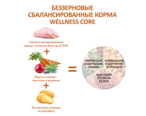 Корм Wellness CORE из курицы для щенков крупных пород 10 кг