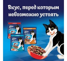 Корм Felix двойная Вкуснятина для взрослых кошек, с птицей 750 г