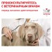 Royal Canin (вет.корма) для собак с пониженным аппетитом при хронической почечной недостаточности