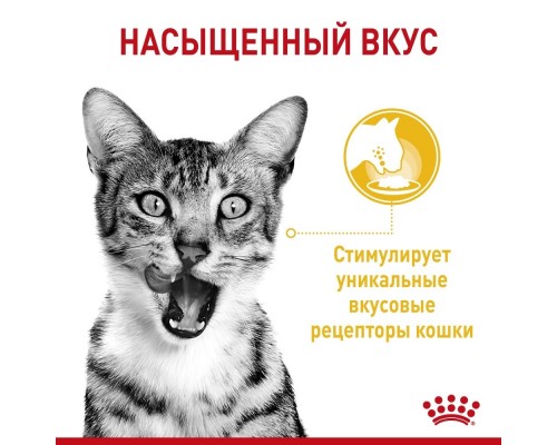 Royal Canin  Sensory консервированный полнорационный корм для взрослых кошек (от 1 года до 7 лет), стимулирующий вкусовые рецепторы, кусочки в соусе