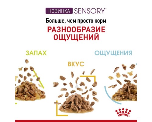 Royal Canin  Sensory консервированный полнорационный корм для взрослых кошек (от 1 года до 7 лет), стимулирующий вкусовые рецепторы, кусочки в соусе