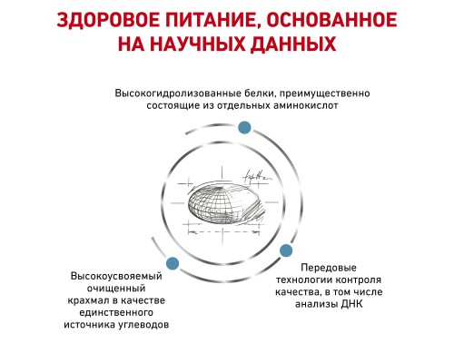 Royal Canin (вет.корма) для кошек при пищевой аллергии с острой непереносимостью