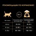 Корм Purina Pro Plan для взрослых кошек с избыточным весом и склонных к полноте, с высоким содержанием индейки 400 г