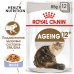 Royal Canin кусочки в желе для кошек старше 12 лет