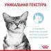 Royal Canin  Sensory консервированный полнорационный корм для взрослых кошек (от 1 года до 7 лет), стимулирующий рецепторы ротовой полости, мелкие кусочки в соусе