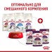 Royal Canin  Sensory консервированный полнорационный корм для взрослых кошек (от 1 года до 7 лет), стимулирующий рецепторы ротовой полости, мелкие кусочки в соусе