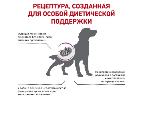 Royal Canin (вет.корма) для взрослых собак при ранней стадии почечной недостаточности 2 кг