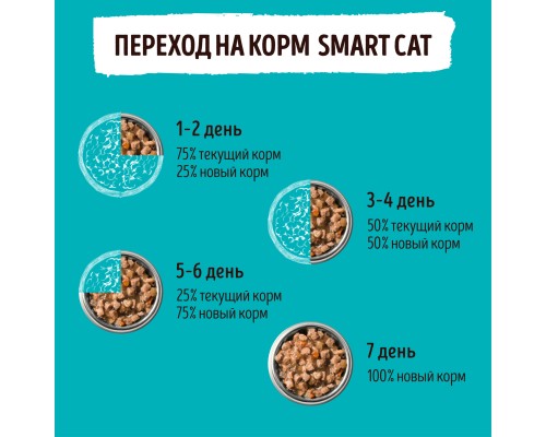 Smart Cat набор паучей 5+1 для взрослых кошек и котят: кусочки лосося в нежном соусе