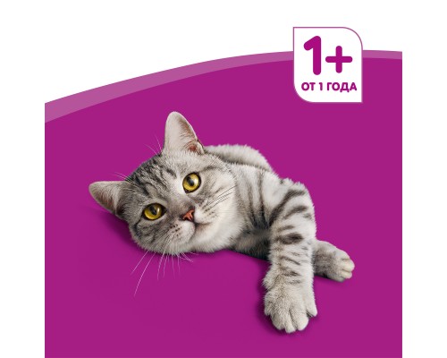 Whiskas влажный корм для кошек паштет с телятиной