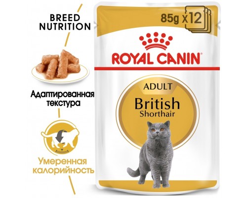 Royal Canin паучи кусочки в соусе для Британской короткошерстной кошки старше 12 месяцев