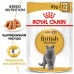 Royal Canin паучи кусочки в соусе для Британской короткошерстной кошки старше 12 месяцев