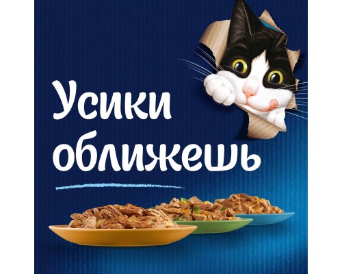 Felix влажный корм Природа вкуса для взрослых кошек, с курицей в соусе