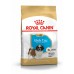 Корм Royal Canin для щенков ши-тцу до 10 месяцев 500 г