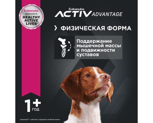 Корм Eukanuba для взрослых собак средних пород, с птицей 3 кг