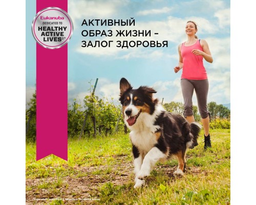 Корм Eukanuba для взрослых собак средних пород, с птицей 3 кг